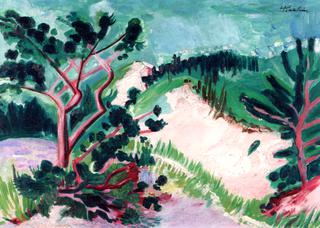 Pine Trees in the Dunes