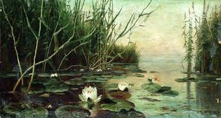Pond with Water Lilies
