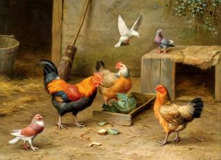 Feeding Time