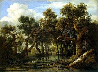 Marsh
