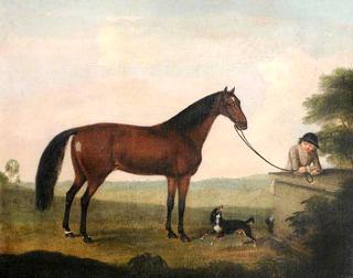A Brown Horse, a Spaniel and a Groom