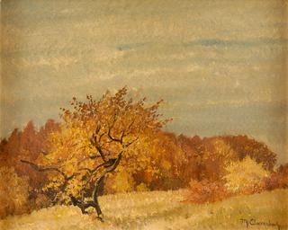 Autumn Landscape
