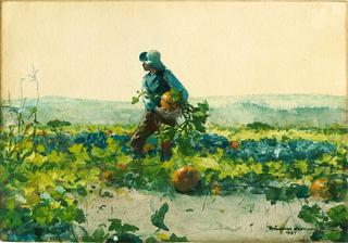 For the Farmer's Boy (old English Song)