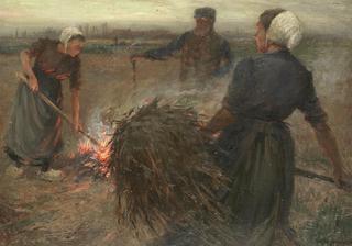 Burning stubble