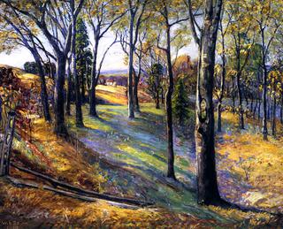 Autumn Trees