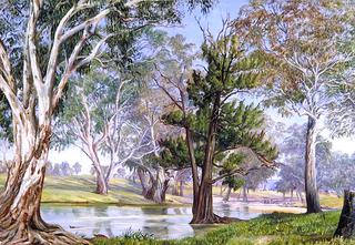 Plant and Animal Life at Mudgee, New South Wales