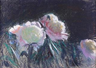 Peonies