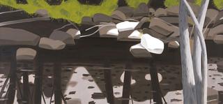 Black Brook