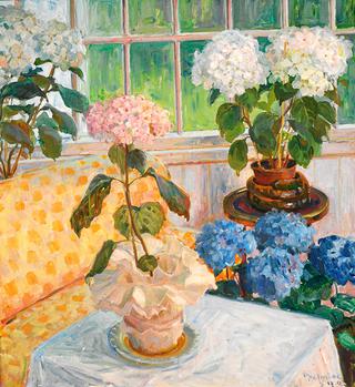 Garden with Hydrangeas in Pots
