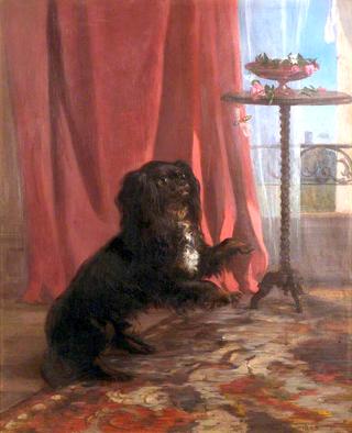 The Reverend Townshend's Dog