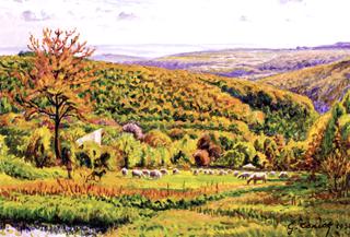 Landscape