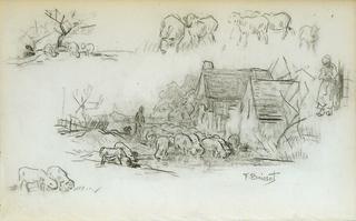 Study of sheeps and shepherds