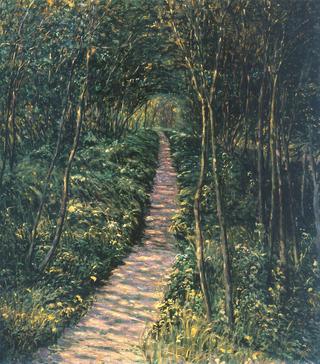 In a Leafy Forest