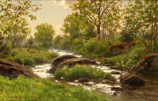 Summer Brook