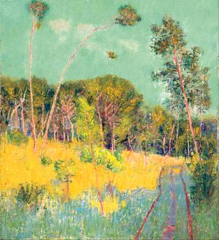 A Clearing in the Forest