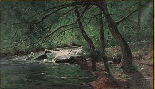 Forest Stream