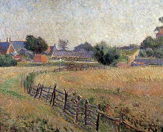 Summer Fields, Rye