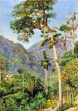 Glimpse of Mr Weilhorn's House at Petropolis, Brazil