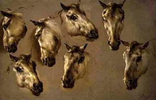 Studies of a Horses' Head