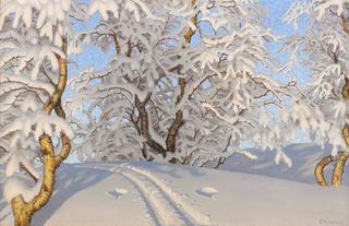 Mountain birches in winter