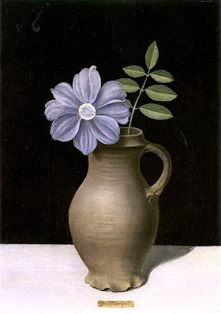 Clematis Blooms in a Handled Vase