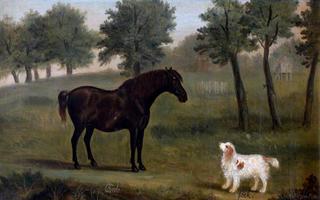 Bob, a Black Horse, and Jock, a Spaniel