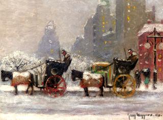 At Central Park in Winter