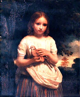 The Pet Dove