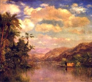 Gathering Plantains, Guayaquil Ecuador