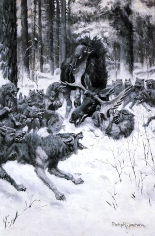 The Battle of the Strong and the Cunning