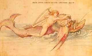 Arion
