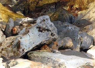 A Study of Rocks and a Rivulet