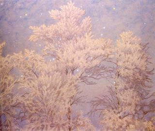 Hoar Frost and Stars