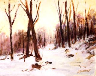 Snow