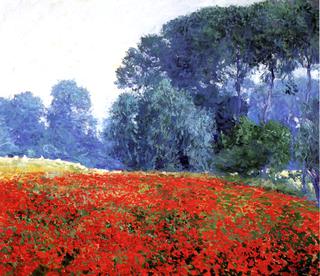 Poppy Field