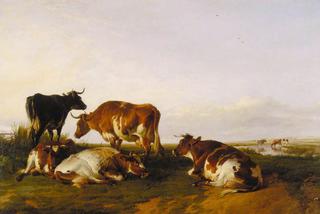 Landscape and Cattle