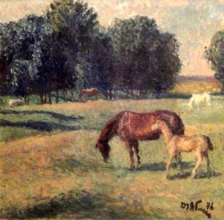 Horses Grazing