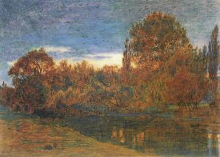 Sunset Through Woodland