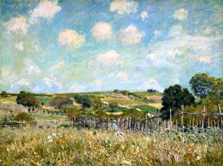 Meadow