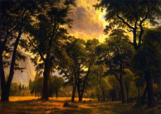 Yosemite Valley Scene