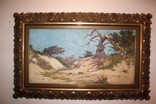 Old Cypress Monterey