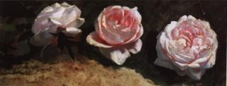 Peonies
