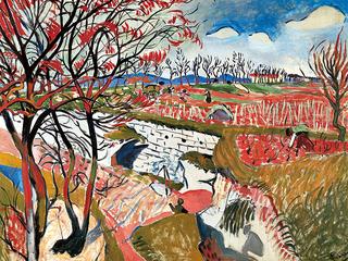 Vineyard in Spring