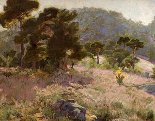 Paisaje