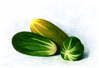 Cucumbers