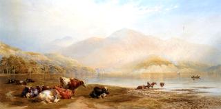 Cattle Resting at Loch Lomond