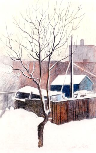 Winter Backyards