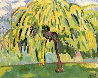 Pear Tree