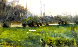 Swans in a Meadow