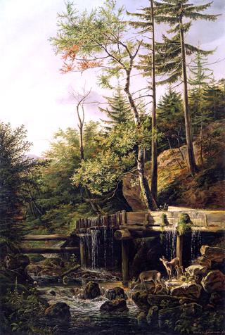 Deer at a Forest Brook